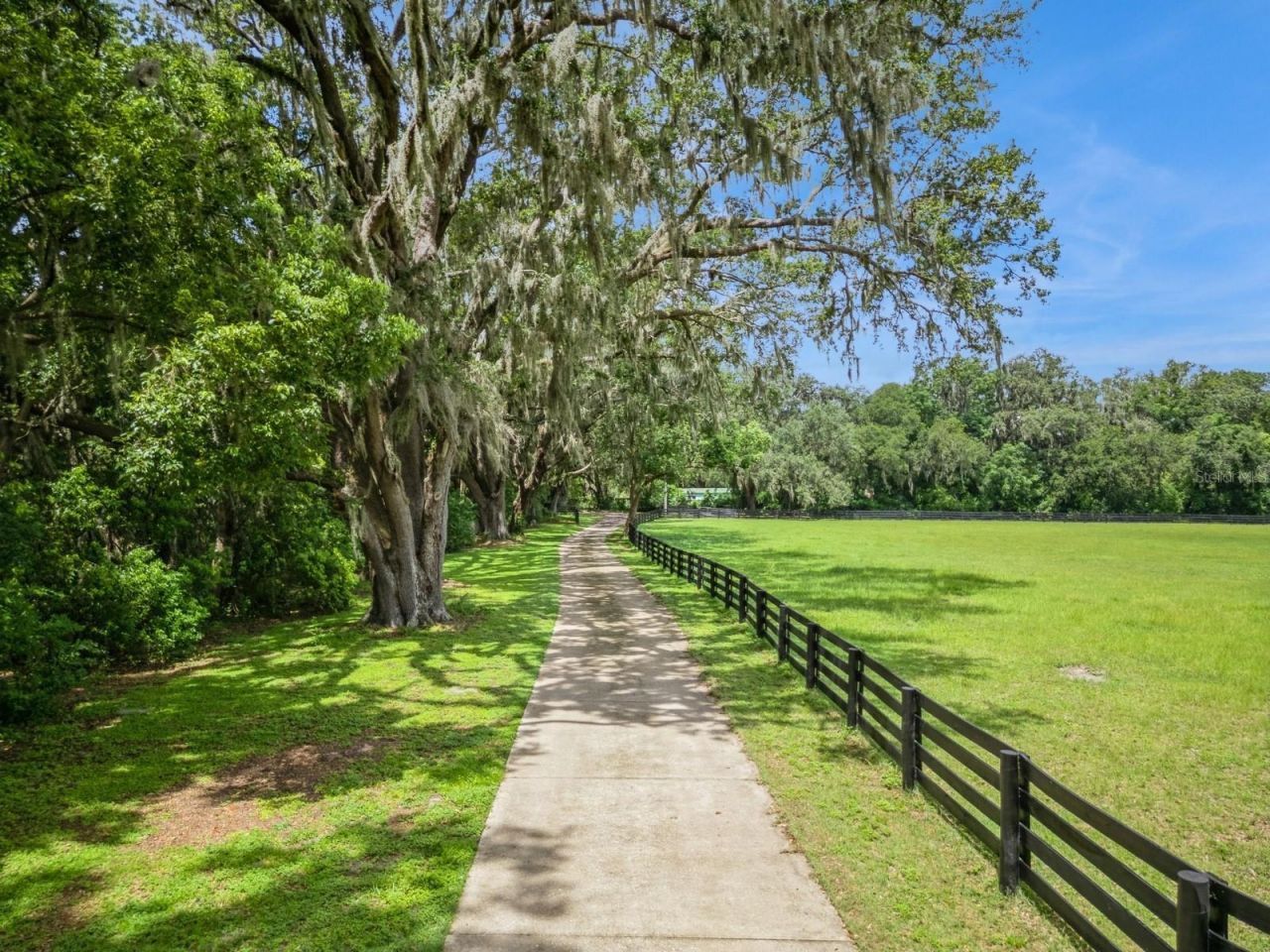 35520 Timbertop Lane, Fruitland Park, FL 34731 Photo