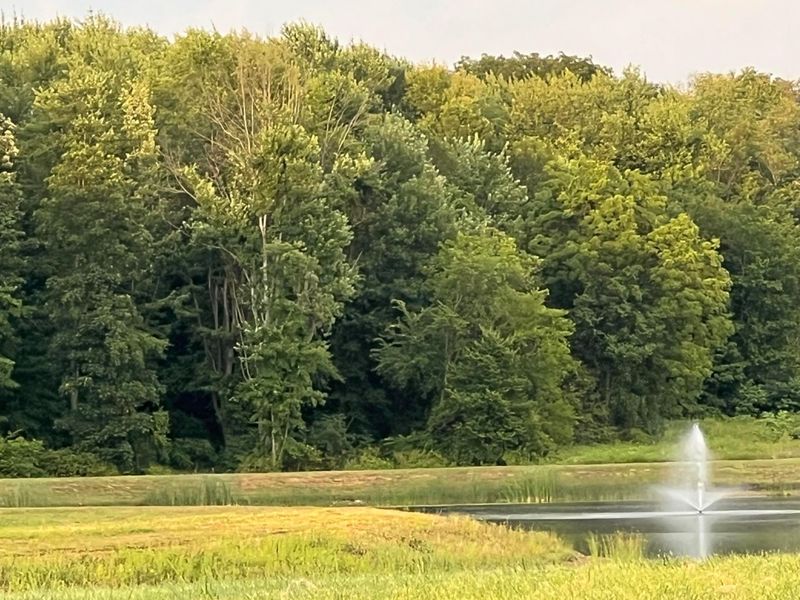 298 Mannaseh Drive W, Granville, OH 43023 Photo 36