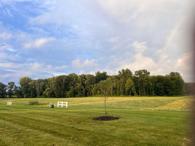 298 Mannaseh Drive W, Granville, OH 43023 Photo 37