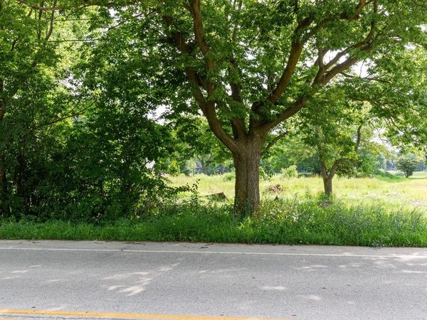 630 GREEN BAY ROAD, Thiensville, WI 53092