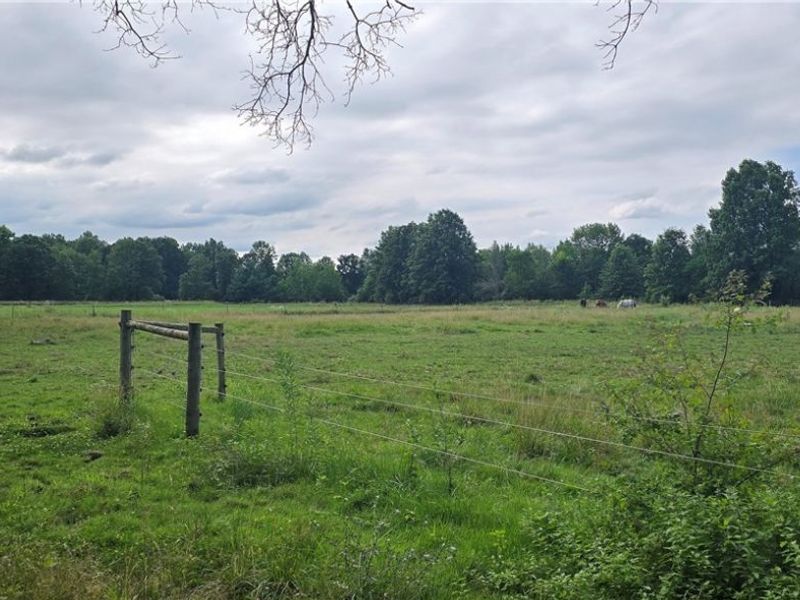 40163 Banks Road, Grafton, OH 44044 Photo 15