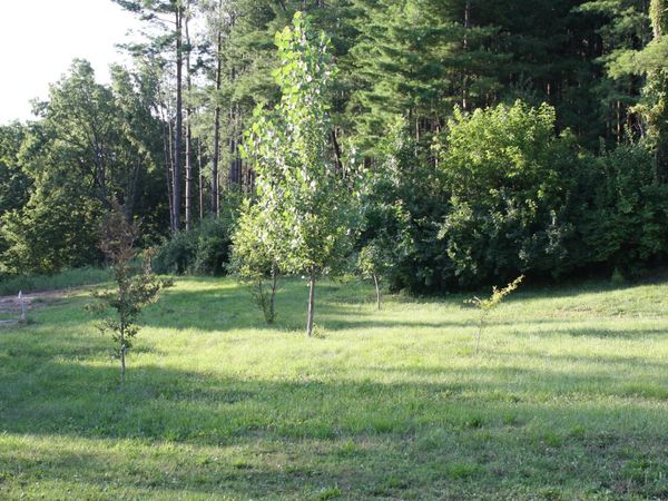 LOT 4 PINE RIDGE, Muscatine, IA 52761