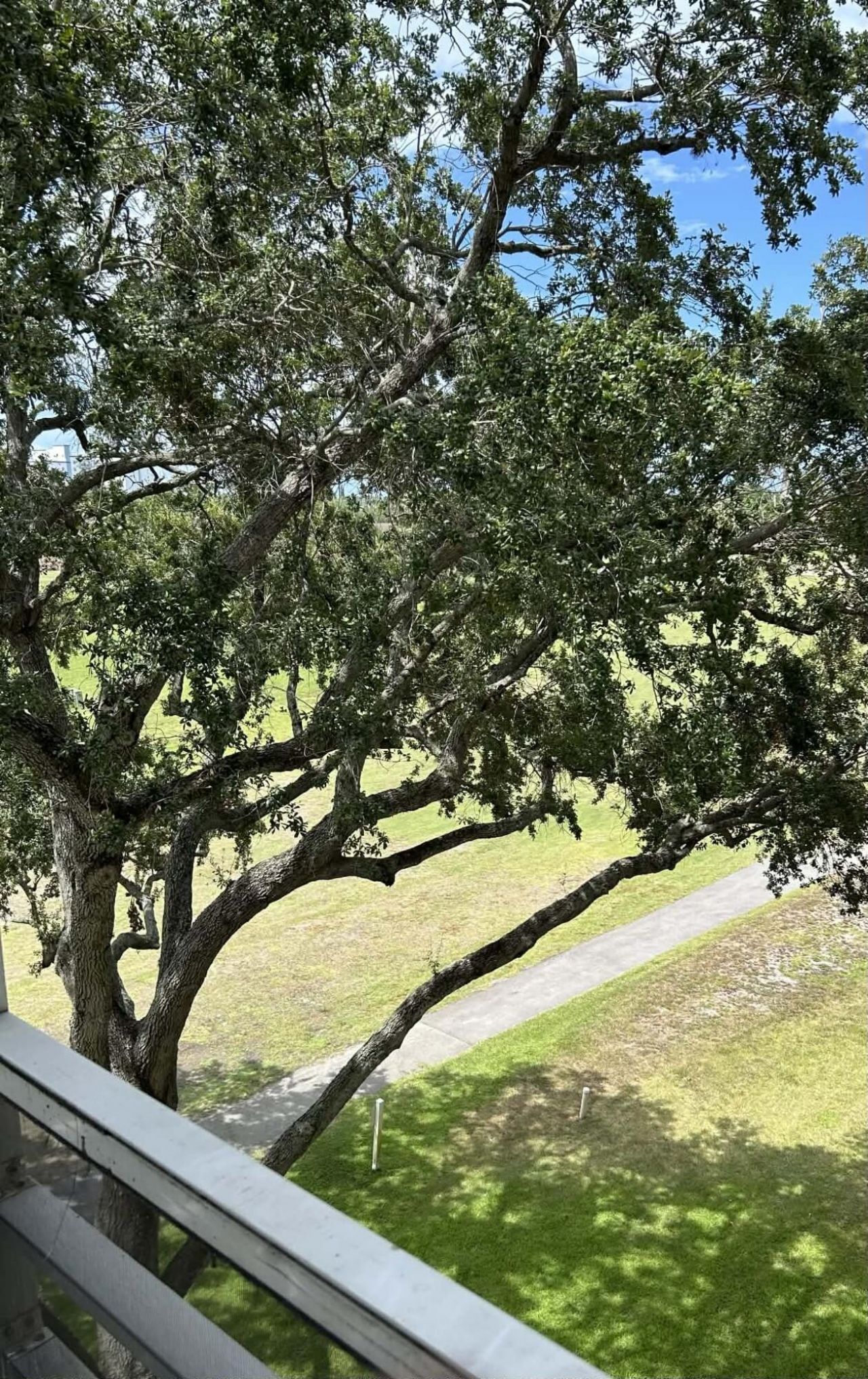 2651 S Course Drive, Unit 509, Pompano Beach, FL 33069 Photo