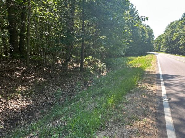 V/L Ridge Road, Mears, MI 49436