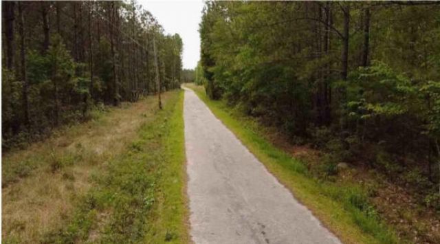 6 Walker Road Photo 4