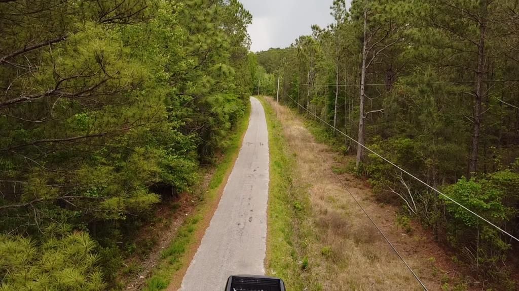 6 Walker Road Photo 5