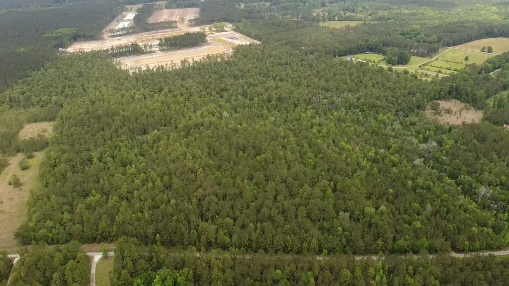 6 Walker Road Photo 6