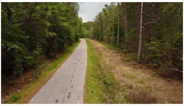 6 Walker Road Photo 7