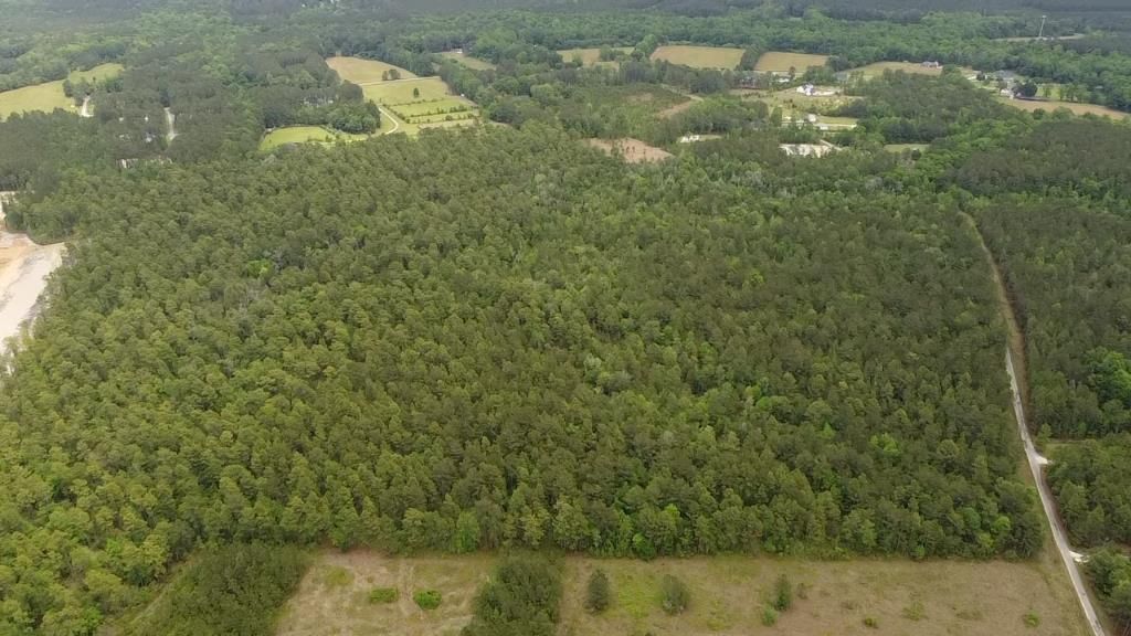 6 Walker Road Photo 8