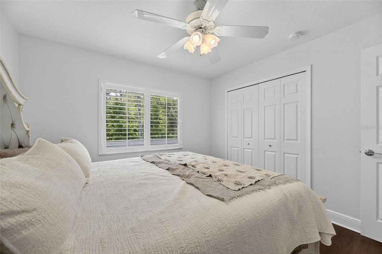 382 Rosalind Lane, Oldsmar, FL 34677 Photo