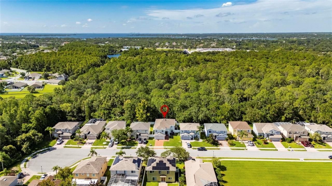 382 Rosalind Lane, Oldsmar, FL 34677 Photo