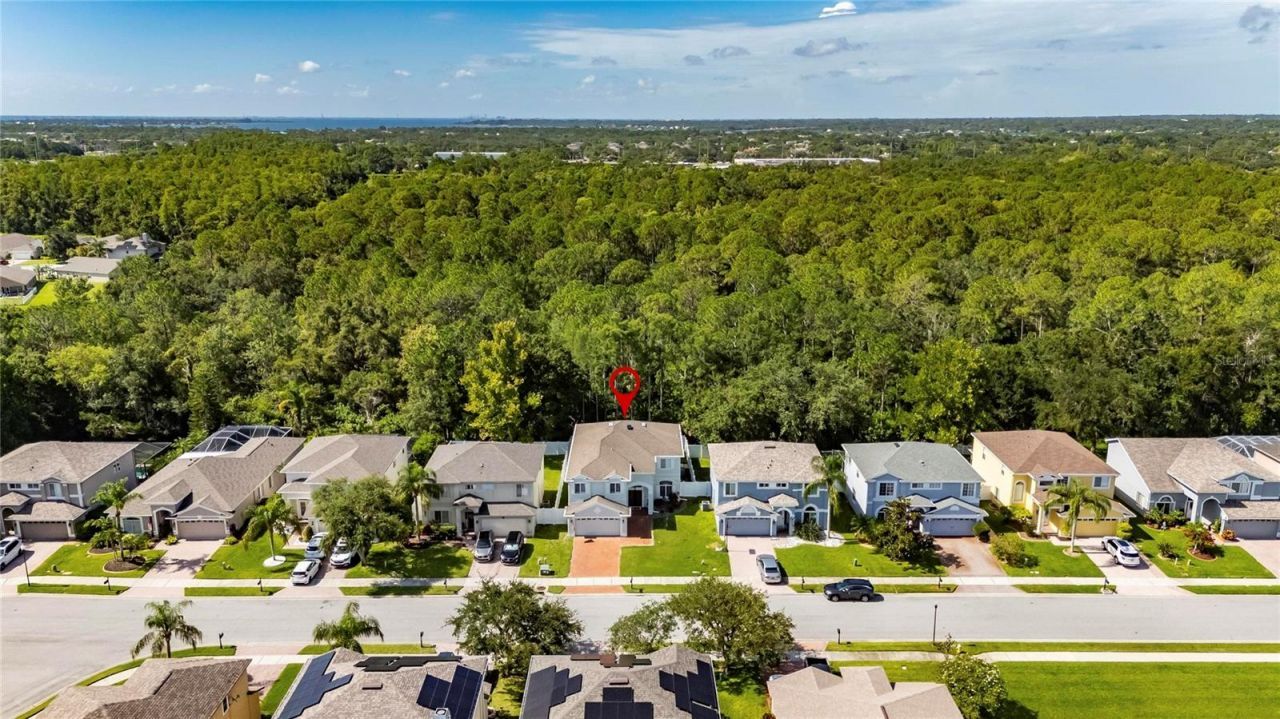 382 Rosalind Lane, Oldsmar, FL 34677 Photo