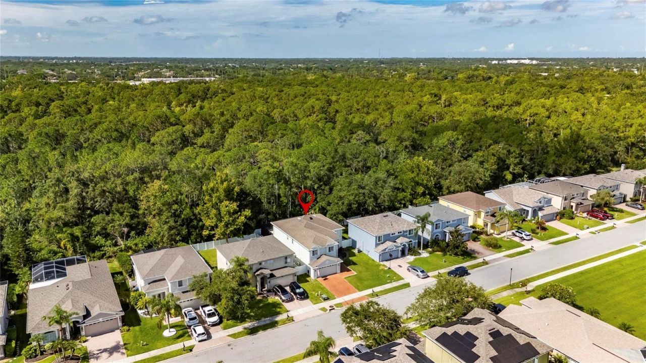 382 Rosalind Lane, Oldsmar, FL 34677 Photo