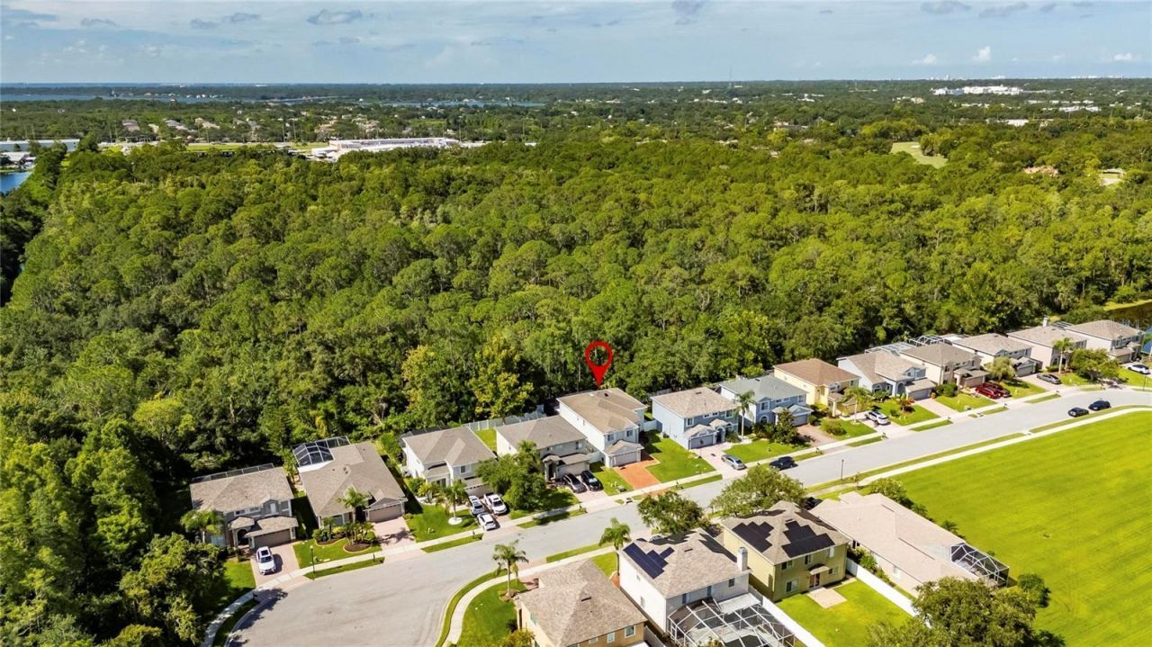 382 Rosalind Lane, Oldsmar, FL 34677 Photo