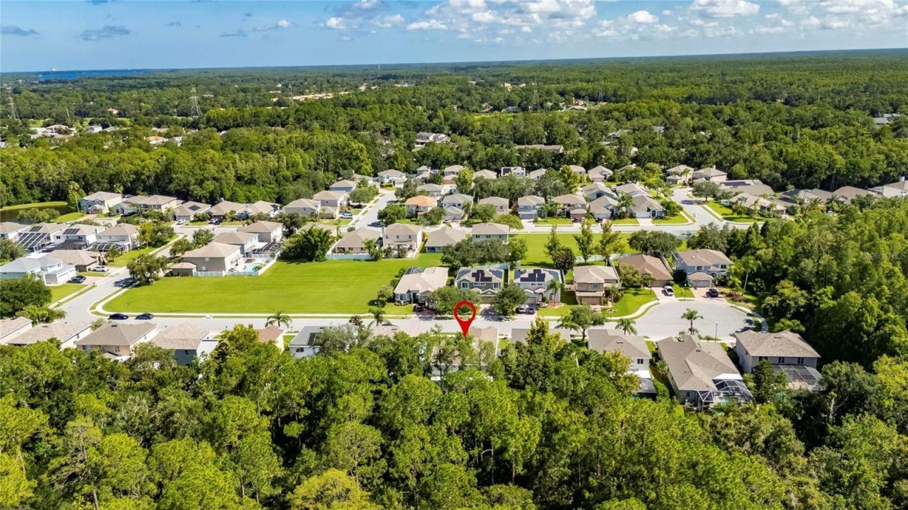 382 Rosalind Lane, Oldsmar, FL 34677 Photo