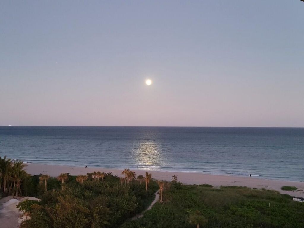 3000 N Ocean Drive, Unit 8-A, Singer Island, FL 33404 Photo