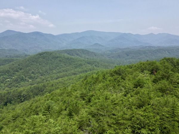 00 Little Mountain Rd Road, Copperhill, TN 37317