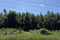 00 Mudville Road photo 4