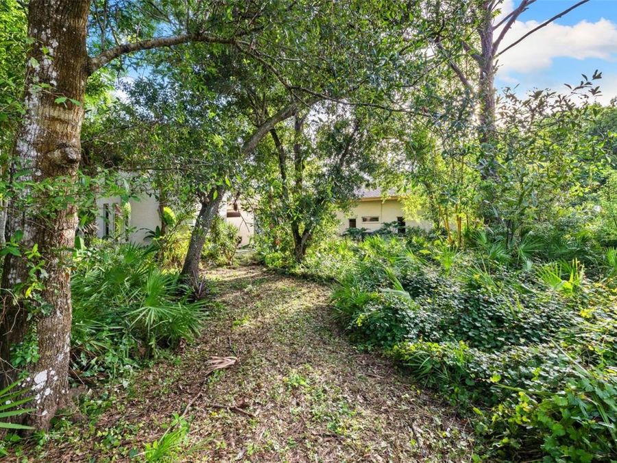 Property Image 61
