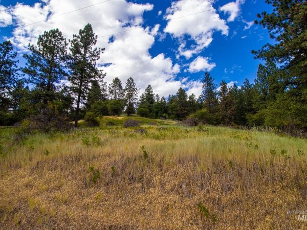 0 Whitetail Drive, Ahsahka, ID 83520