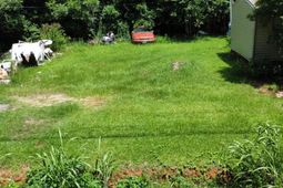 Tbd Bedford Avenue photo 4