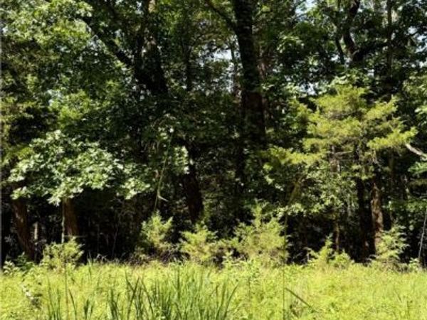 Lot 39 Pine Drive, Garfield, AR 72732