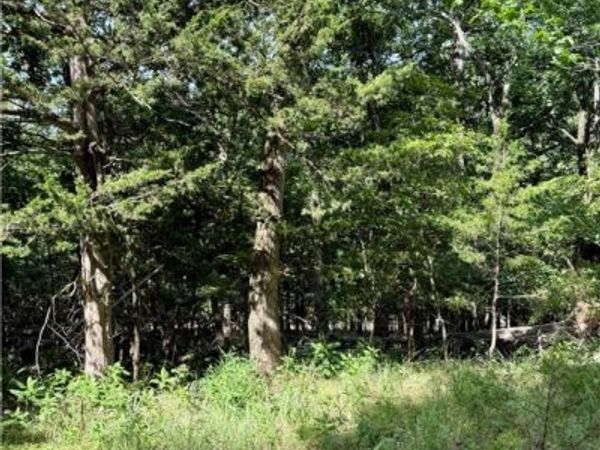 Lot 40 Pine Drive, Garfield, AR 72732