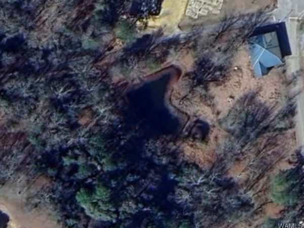 10 Jackson Street, Gainesville, AL 35464