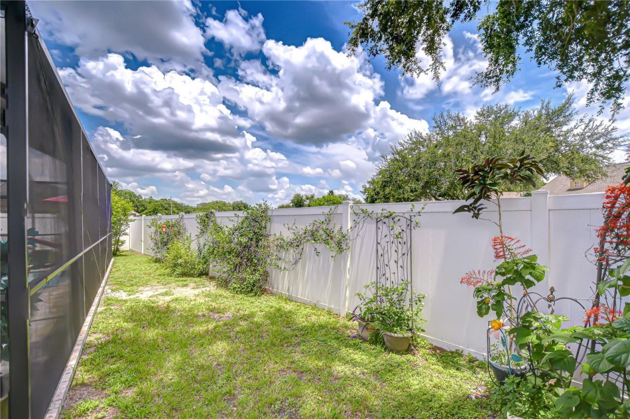 24510 Landing Drive, Lutz, FL 33559 Photo