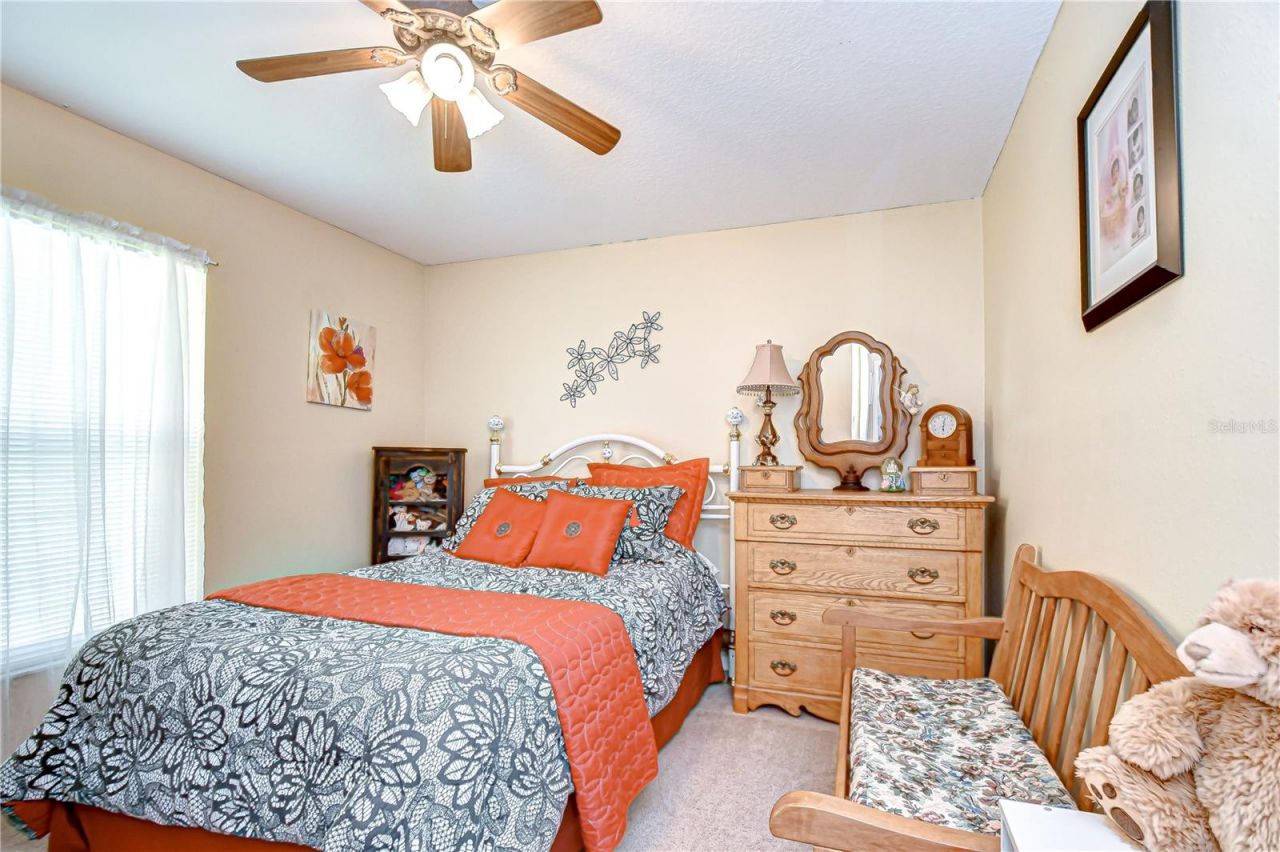 24510 Landing Drive, Lutz, FL 33559 Photo