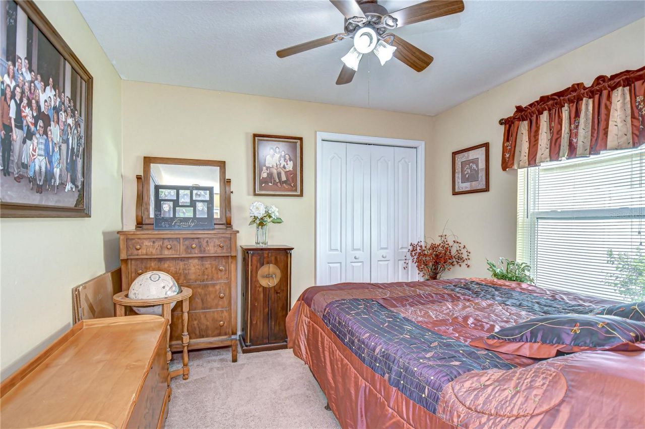 24510 Landing Drive, Lutz, FL 33559 Photo