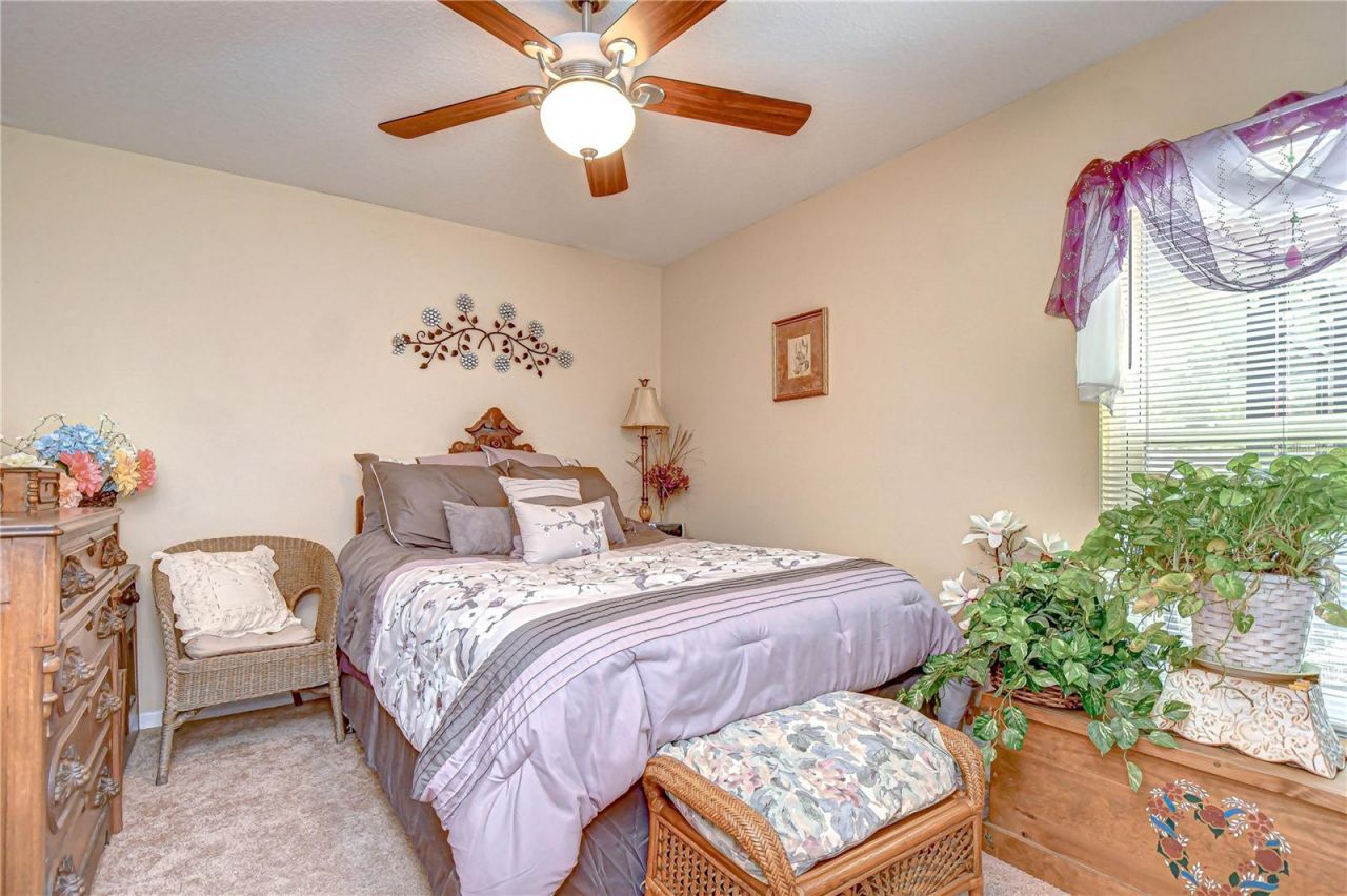 24510 Landing Drive, Lutz, FL 33559 Photo