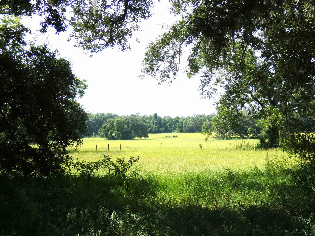 397 SW Owens Drive, Lake City, FL 32025 Photo