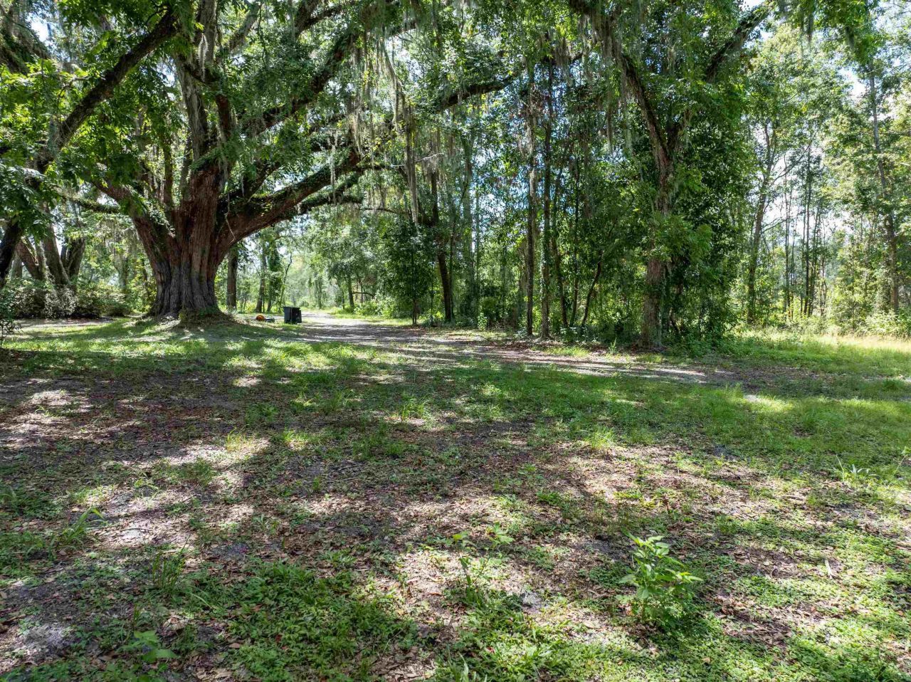 397 SW Owens Drive, Lake City, FL 32025 Photo