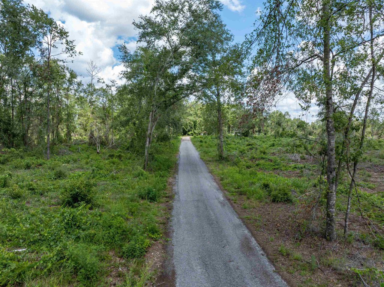 397 SW Owens Drive, Lake City, FL 32025 Photo