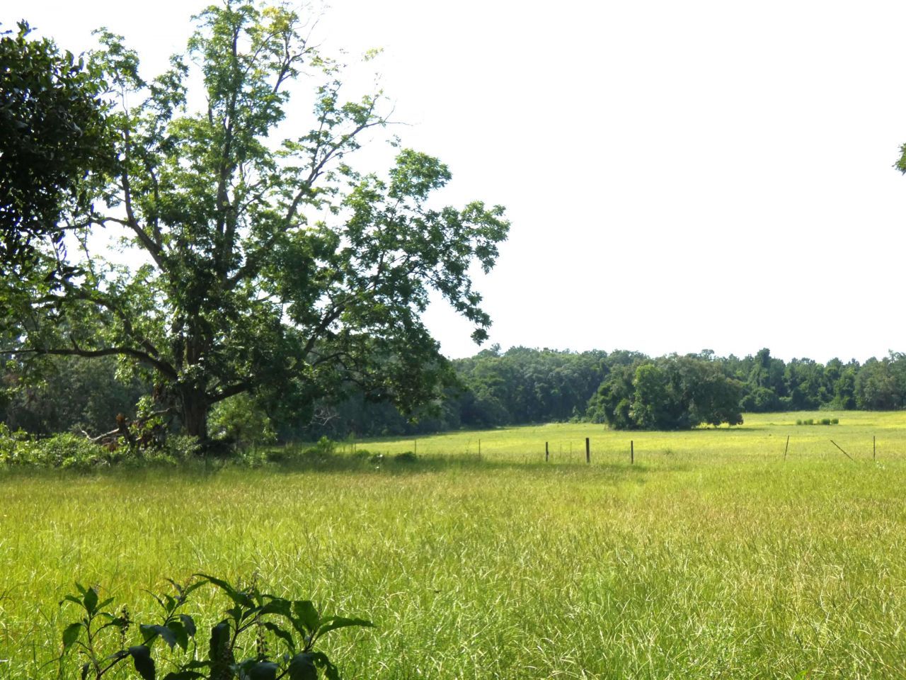 397 SW Owens Drive, Lake City, FL 32025 Photo