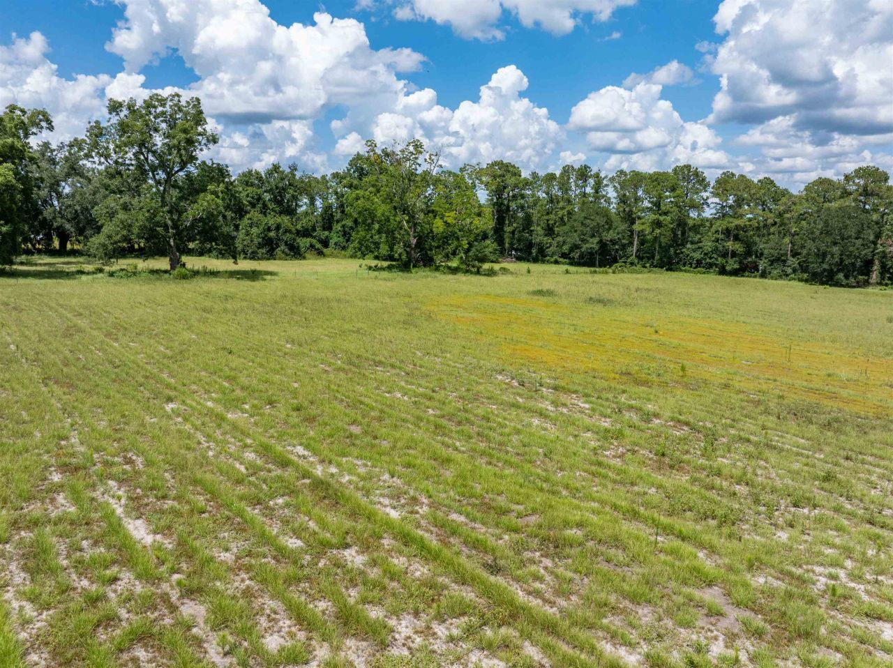 397 SW Owens Drive, Lake City, FL 32025 Photo