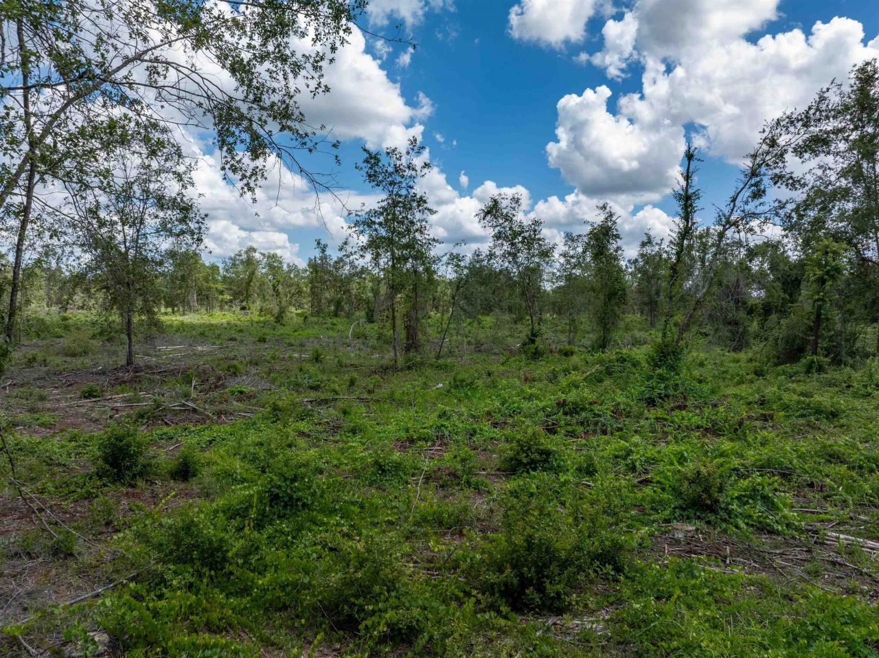 397 SW Owens Drive, Lake City, FL 32025 Photo