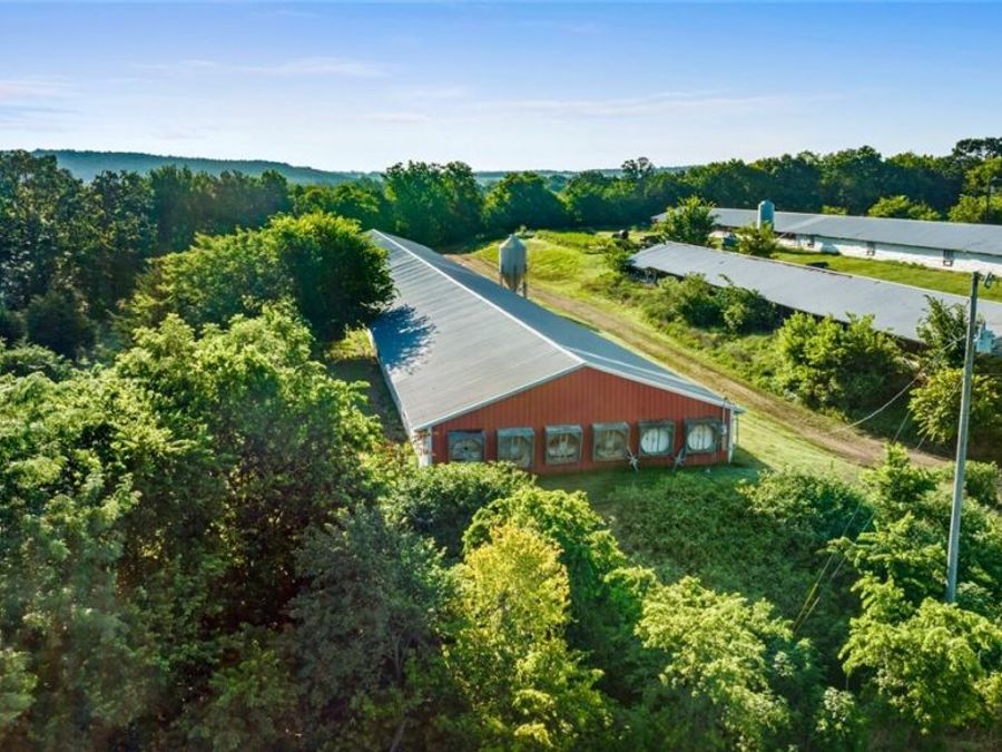 Property Image 18