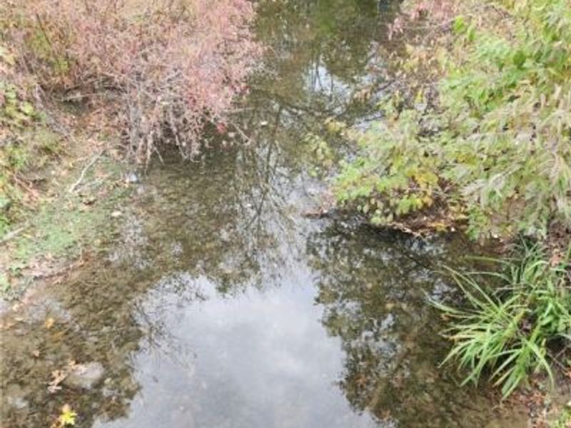 36923 Sugar Ridge Road, North Ridgeville, OH 44039 Photo 3