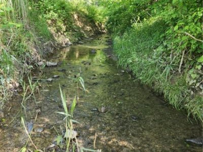 36923 Sugar Ridge Road, North Ridgeville, OH 44039 Photo 4