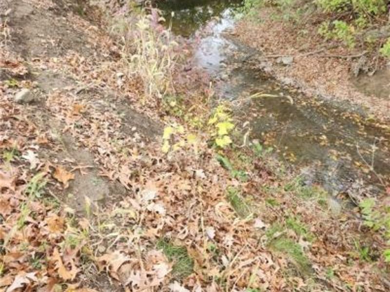 36923 Sugar Ridge Road, North Ridgeville, OH 44039 Photo 5