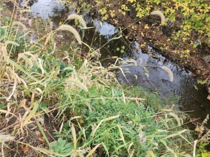 36923 Sugar Ridge Road, North Ridgeville, OH 44039 Photo 6