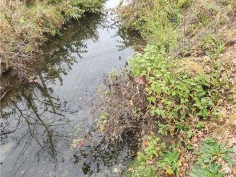 36923 Sugar Ridge Road, North Ridgeville, OH 44039 Photo 7