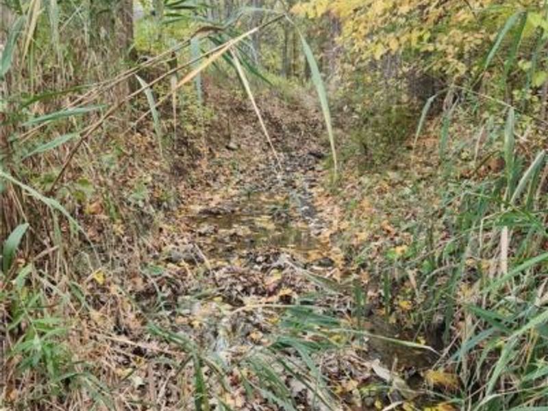 36923 Sugar Ridge Road, North Ridgeville, OH 44039 Photo 8