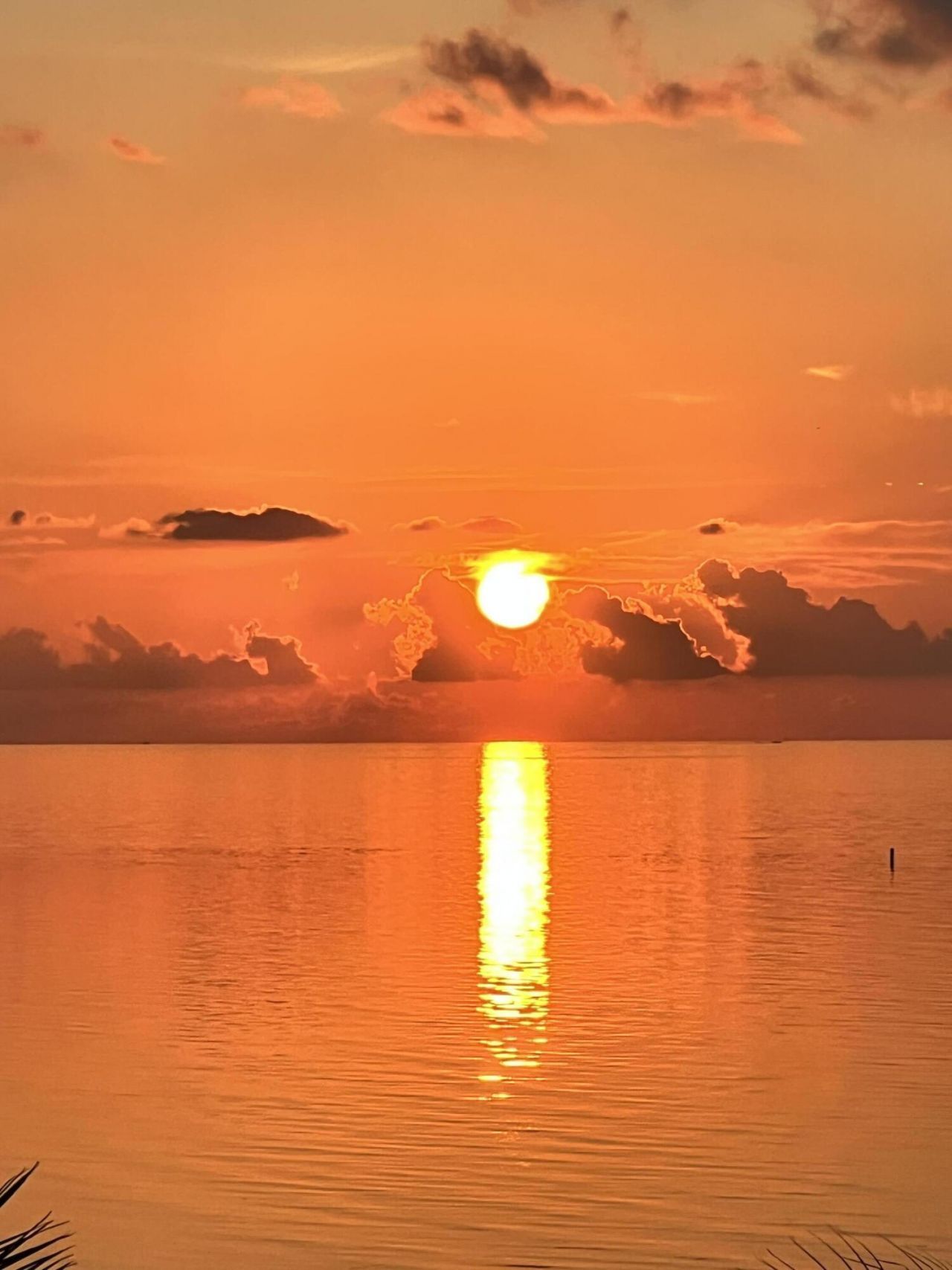 120 Toner Lane, Islamorada, FL 33036 Photo