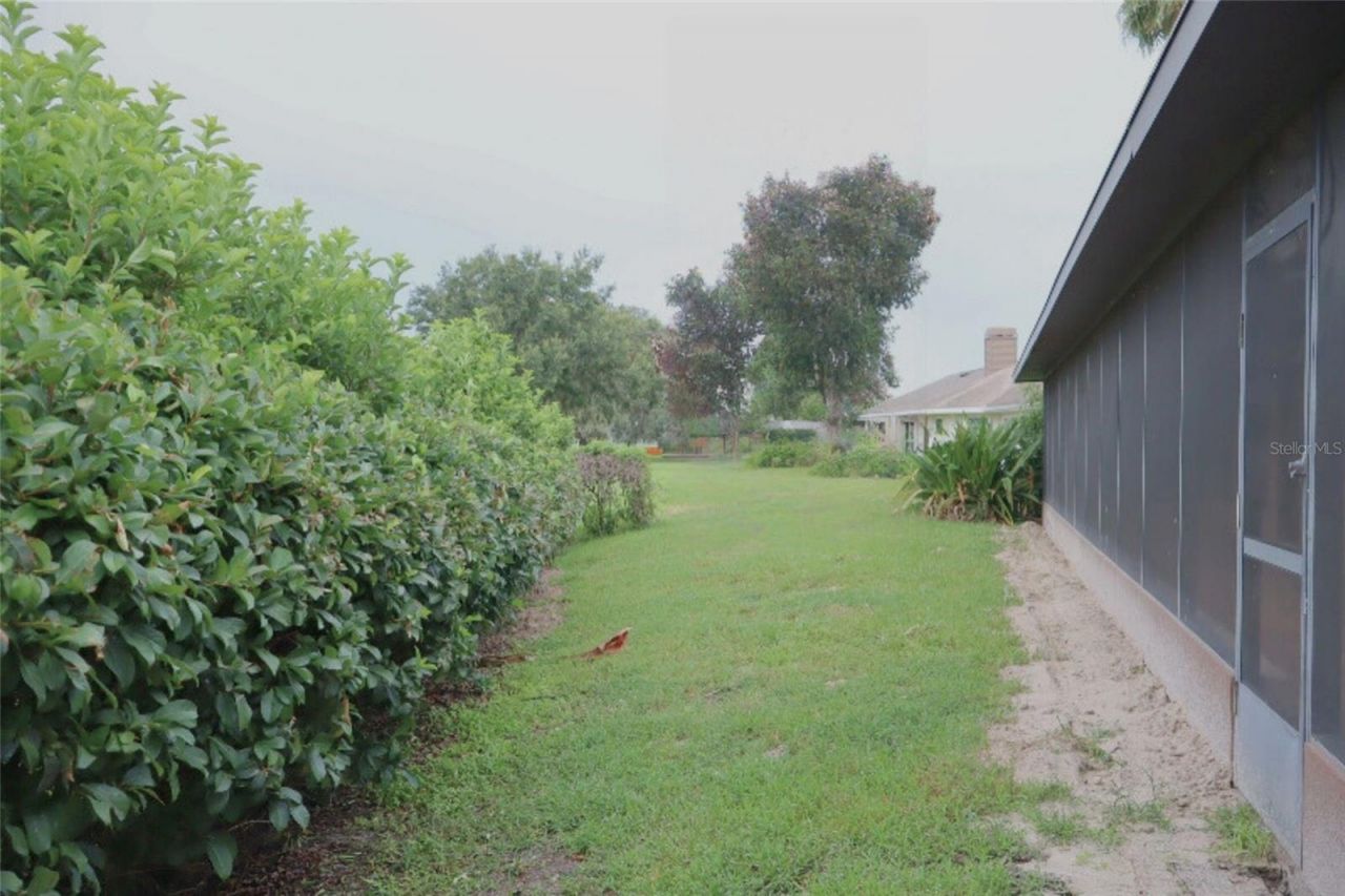 6151 Silver Oaks Drive, Zephyrhills, FL 33542 Photo