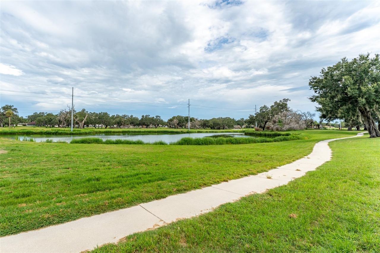 6151 Silver Oaks Drive, Zephyrhills, FL 33542 Photo