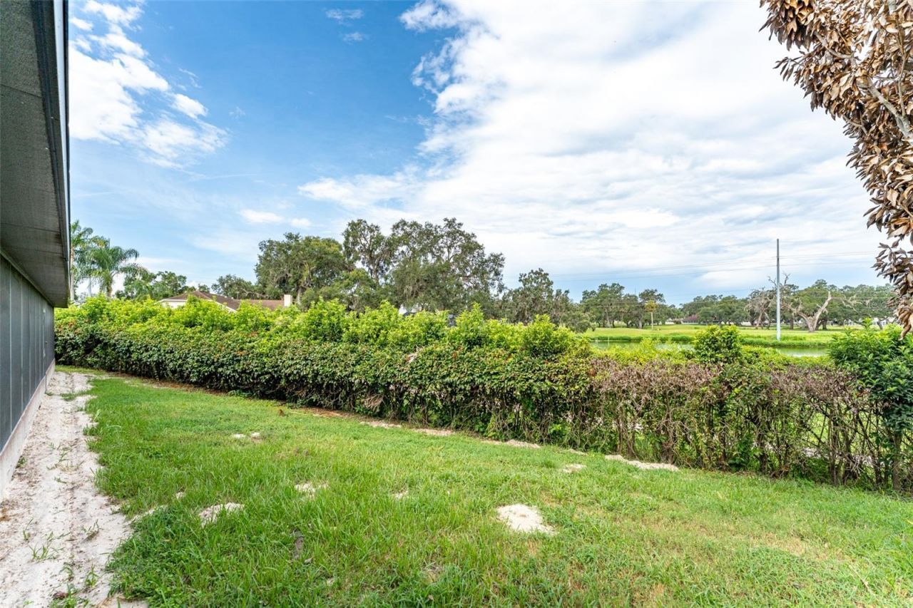 6151 Silver Oaks Drive, Zephyrhills, FL 33542 Photo
