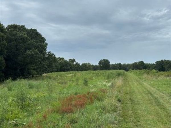 Beechnut Road, Stover, MO 65078